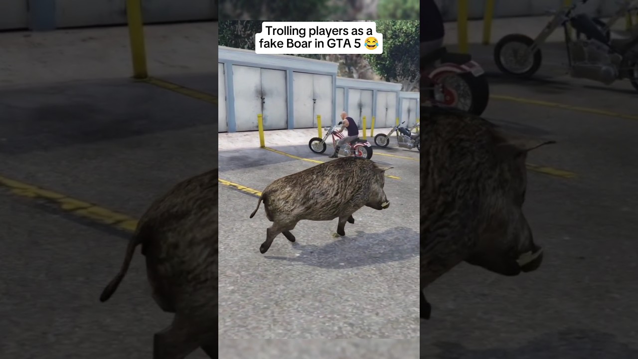 “Worst Timing Ever 😂” 