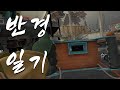 반경 일기 #4 [ Into the radius VR]