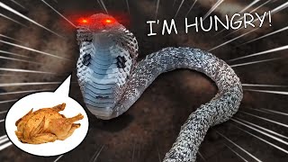 Funny snake videos I watch at 2AM 🐍😱