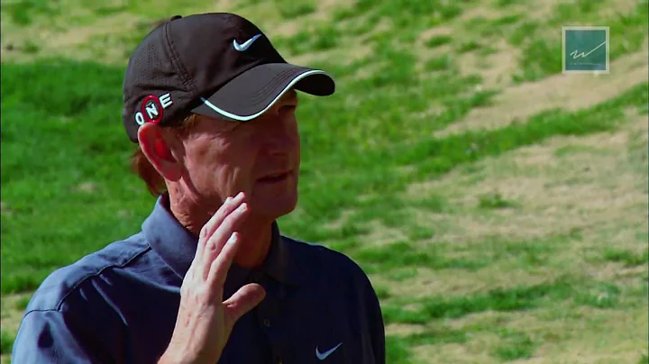 The Haney Project: Swing Evaluations