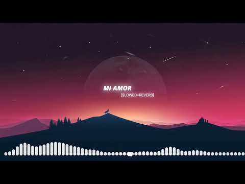 Mi Amor (Slowed +Reverb)|40k| THE PAUL #miamor
