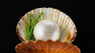 M&S Food Adventures In Christmas - Tv Ad 2015