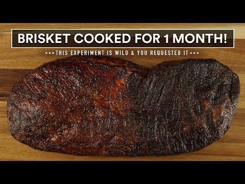 I COOKED a Brisket for a MONTH and this happened!