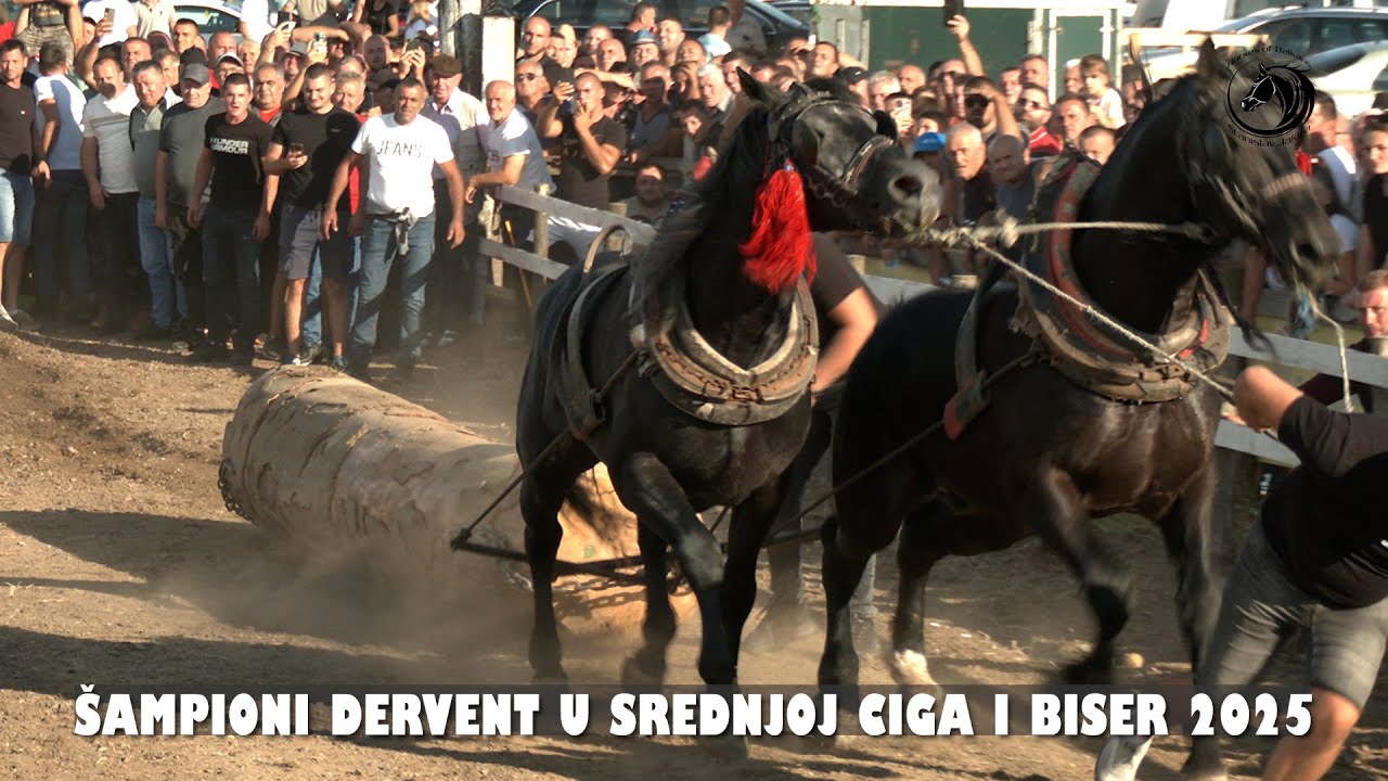 - GRBOVIĆ SRUŠIO  DERVENTU I ZA KONJE ZATRAŽIO 100 000 EURA -