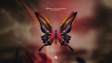 Tritonal - Gonna Be Alright feat. Mozella
