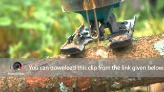 Processing log of wood with electric jigsaw