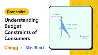 Understanding Budget Constraints of Consumers Ft. Mr. Beat