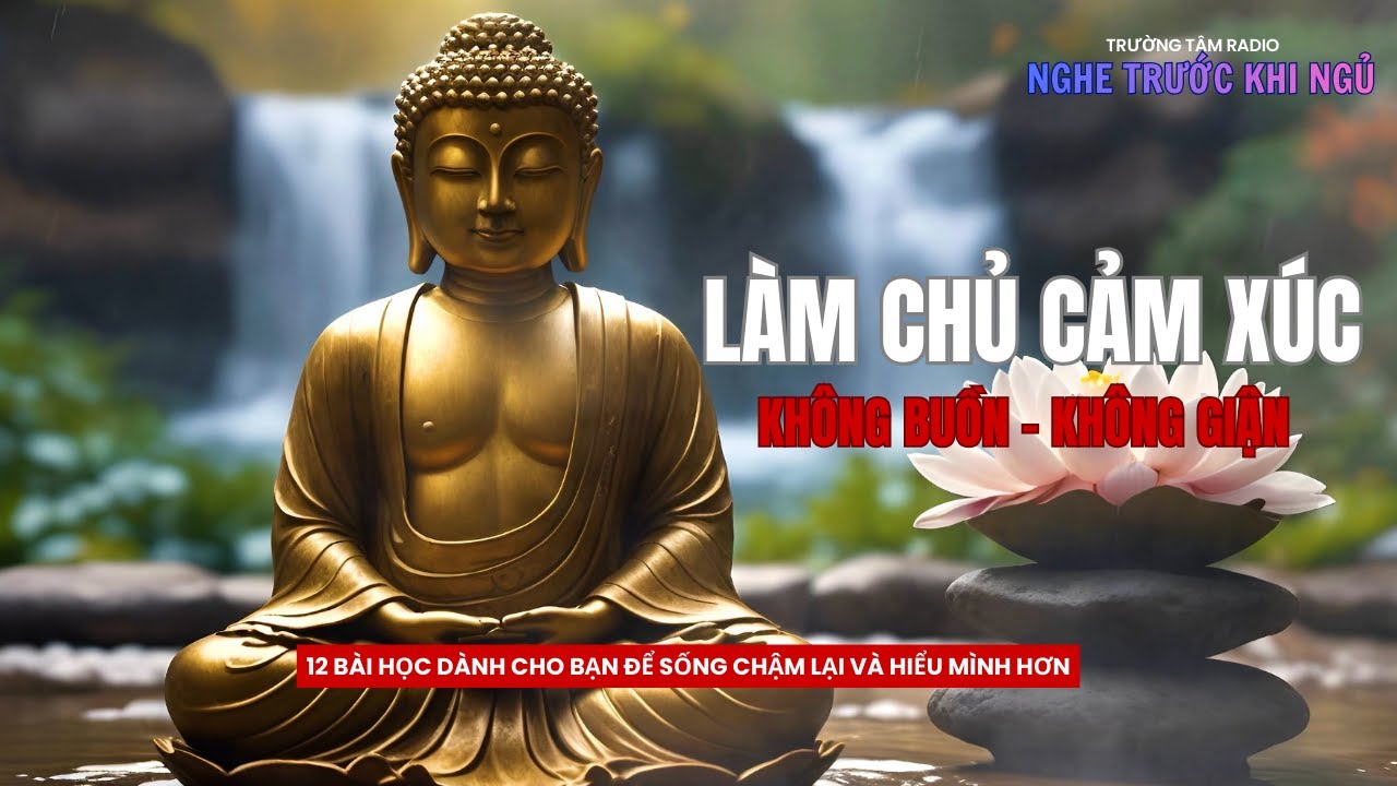 Giận, buồn, lo lắng hay tổn thương không phải vì chuyện quá lớn | Trường Tâm Radio – Thiền Chữa Lành