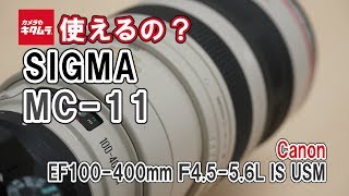 Canon EF100-400F4.5-5.6L IS USM レンズ Amazon.co.jp: Canon 望遠ズームレンズ EF100-400mm F4.5-5.6L