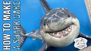 How to Make a Realistic Shark Face Cake