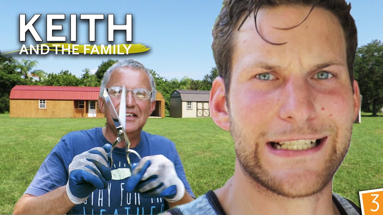 Laying the seashell garden Christmas palm tree YouTube