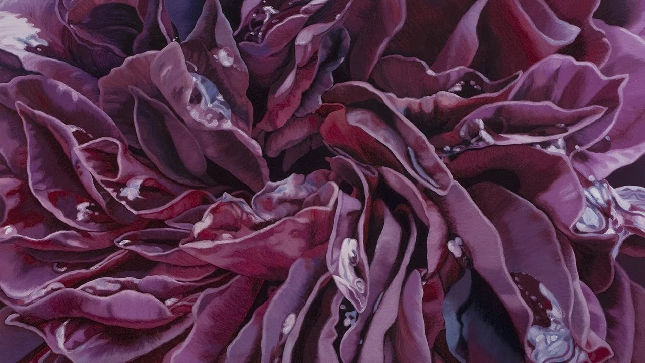 Выставка работ художницы Хлои Хедден.