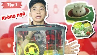 CUỘC SỐNG ROBO CHUỘT - DỌN CHUỒNG LẦN ĐẦU CHO HAMSTER & PHÁT HIỆN BẤT NGỜ