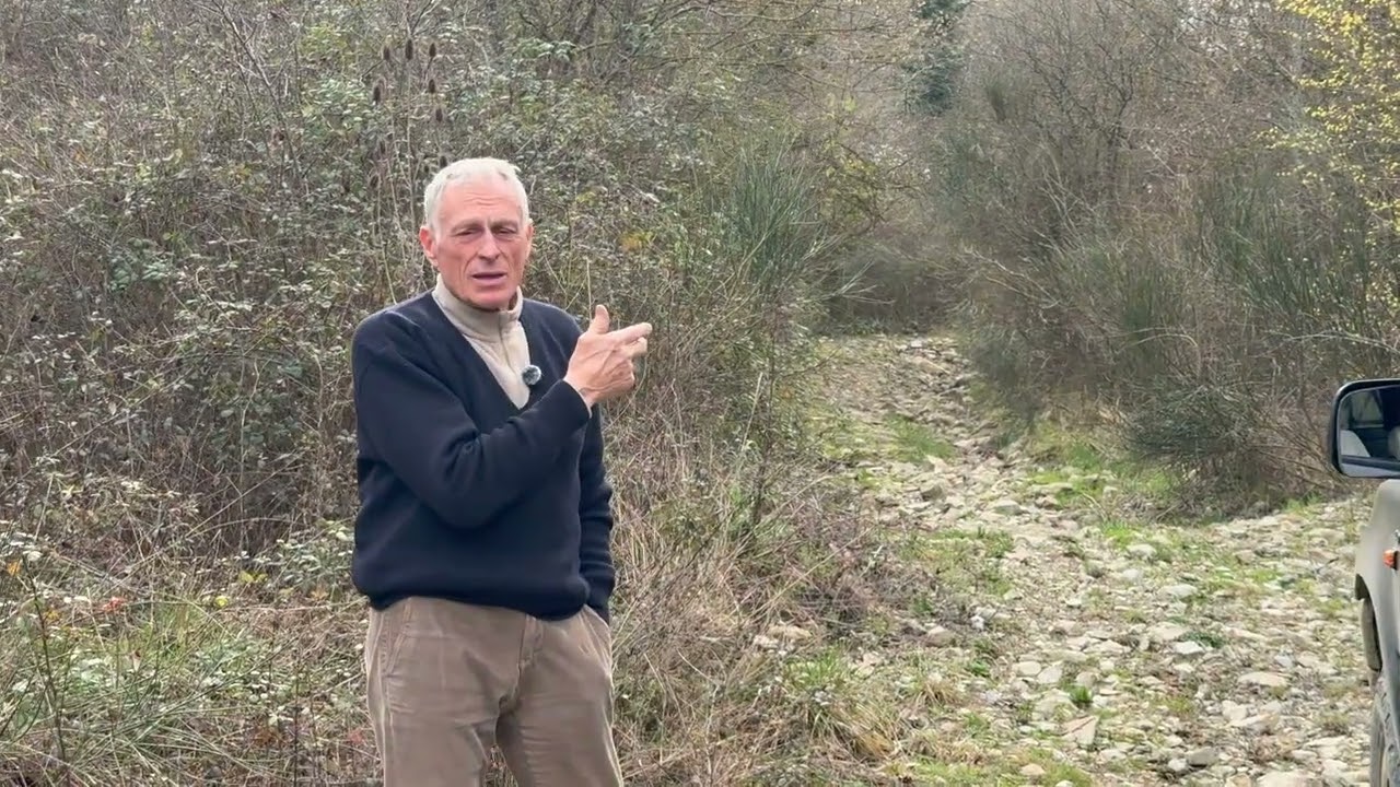 Strada fantasma del Mugello tra boschi e piloni dimenticati  il progetto che divide il territorio