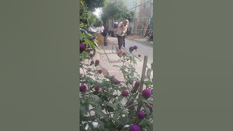 Thợ hồ luyện công uốn sắt #thoho #thinhhanh #xuhuongyoutube