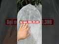 Túi bọc hoa quả siêu tiện lợi