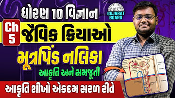 Std 10 Science Ch 5 જૈવિક ક્રિયાઓ | આકૃતિ શીખો એકદમ સરળ રીતે Ch 5 Vigyan | Hiren Nasit