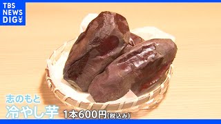 焼き芋の季節は実は“春夏”？！　芋ブーム再び到来の中…この時期人気の“冷し芋”とは？｜TBS NEWS DIG