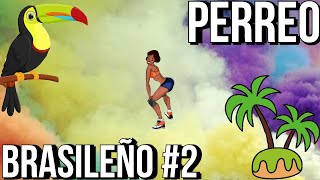 🍸MIX PERREO BRASILEÑO #2 - DJ DEIVID🍸