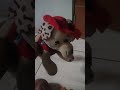 kkkk