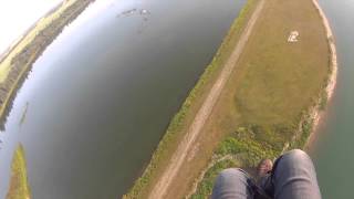 why are birds flying so low 13