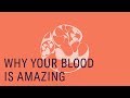 Lykon Why Your Blood Is Amazing Lykon Why Your Blood Is Amazing