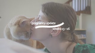 PREGNANCY UPDATE WEEKS 13-16 | BONBONZZ