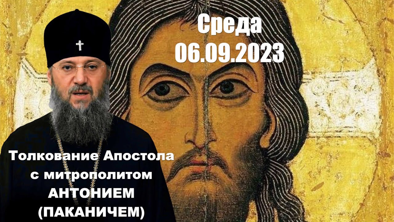 Евтихий тихий открытки. 6 сентября 2023 год. Толкование евангелия на 10 июня 2022 года. Международный день рыжих. Единый день голосования 10 сентября 2023 года.