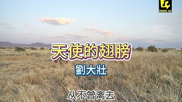 劉大壯《天使的翅膀》| Tian　Shi　De　Chi　Pang | 動態歌詞lyrics 【我會找個天使 替我去愛妳，愛曾經來到過的地方】