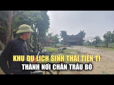 Khu du lịch sinh thái tiền tỉ trở thành nơi chăn thả trâu bò mới 2023