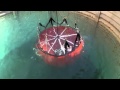Discovery Channel's Daily Planet Featuring Bambi Bucket