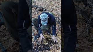 ЦАРСКАЯ СЕРЕБРЯННАЯ МОНЕТА МЕНЯ ПОРАЗИЛА🤩 #копмонет #metaldetecting #находкисметаллоискателем