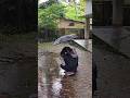 Day in My Life – മഴയ്ക്കാലത്തെ Adventure 😭🌧️#rainyday #trending #dayinmylife #childhood #explore