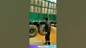 UNLEASH THE KERNELS! 🌽 This Corn Unloading is So Satisfying! #corn #oddlysatisfying #farming #work