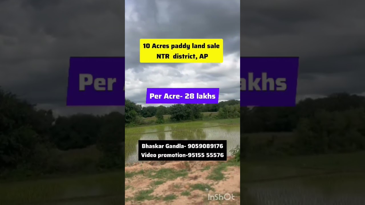 10 Acres Paddy Agricultural Land for Sale || NTR District