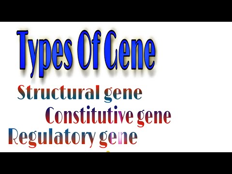 Types of Gene- Structural, Constitutive, Regulatory, Jumping, Overlapping, Split gene#Bio knowledge