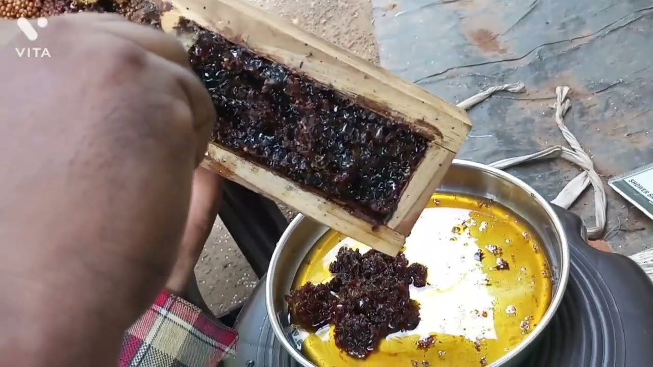 ചെറുതേനീച്ച കോളനി എങ്ങനെ ലളിതമായി പിരിക്കാം | How to easily divide a stingless bee colony |