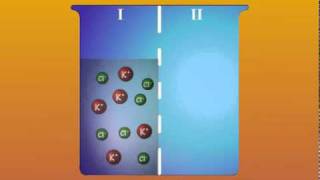 1. Ion Passive Diffusion in Solution