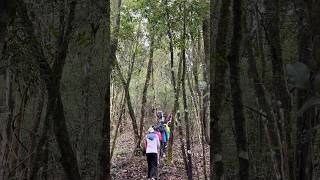 Trekking #campinglife#adventure best time together