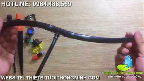 Hướng dẫn lắp Tê 10ly chia 1 đầu 6ly gắn béc trong mô hình tưới tự động