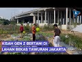 Gen Z di Jakut Pilih Bertani, Ubah Lokasi Tawuran Jadi Kebun Produktif