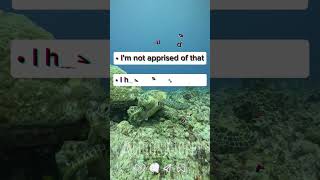 Download Mp3 Ungkapan Lain " I Have No Idea "_Part 6 Gudang lagu Download Mp3 Ungkapan Lain " I Have No Idea "_Part 6