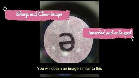 Basic Technique in Microscopy: Experiment 1