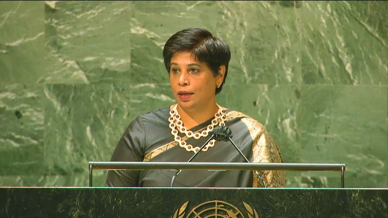 Human Rights Council President addresses the United Nations General ...