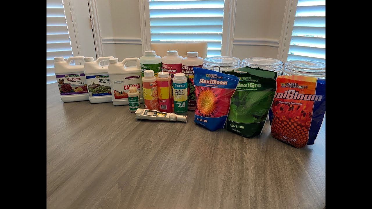 10 Frequently Asked Question Regarding Hydroponics