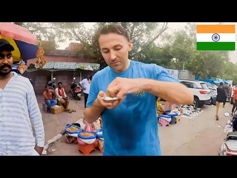 Video: Wakati Bora wa Kutembelea Delhi