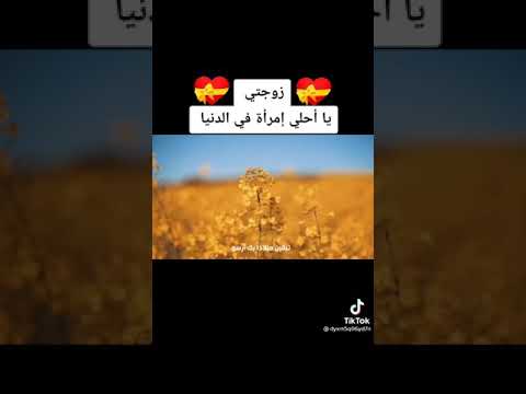 فيديو عن الزوجه تيك توك يوتيوب