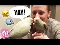 Birds Say the Darndest Things 🐦😂 | Funny Animal Compilation
