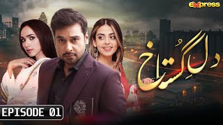 Dil e Gustakh - Episode 1 | Faysal Quraishi - Yashma Gill - Faryal Mehmood - Ali Ansari | Express TV