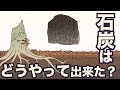 石炭はどうやってできた？　キノコがいなかった説は本当？　地球の歴史　その４５